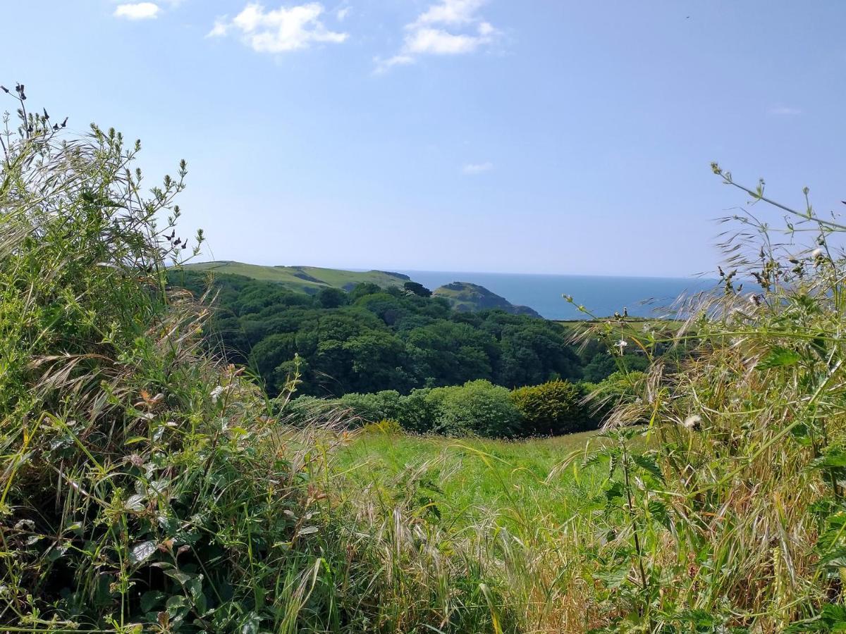 Villa The Mill Tintagel Esterno foto